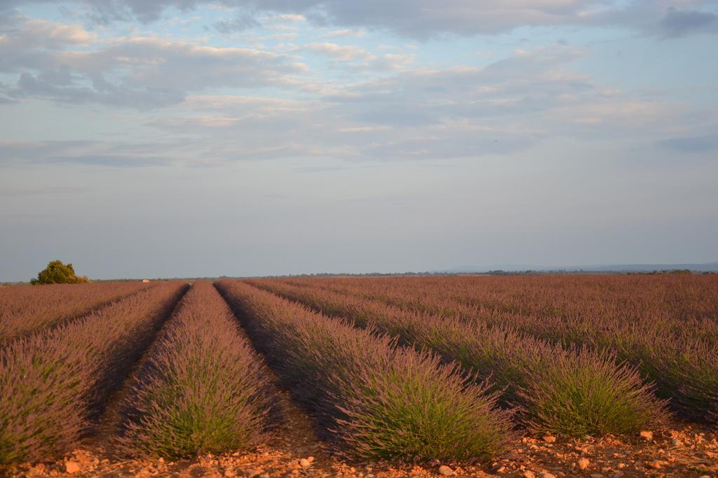 Les Terrasses De Valensole Exterior foto