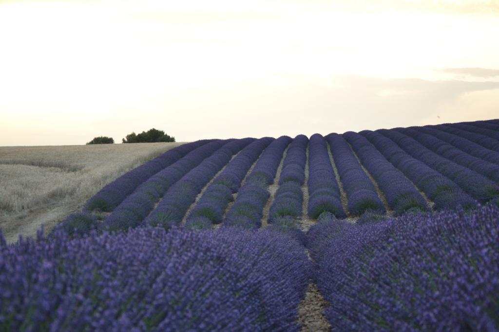 Les Terrasses De Valensole Exterior foto